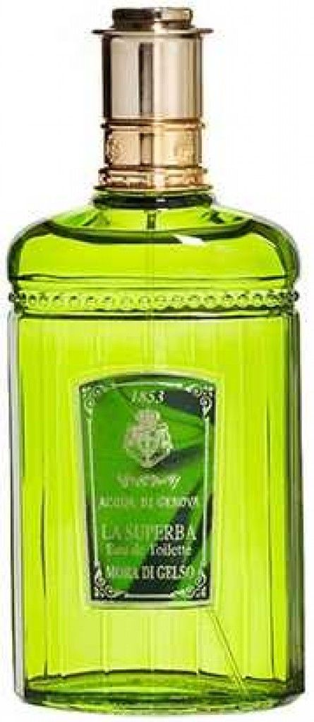 Mora Di Gelso