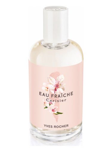 عطر إيف روشيه سيريزير شيري بلوسوم