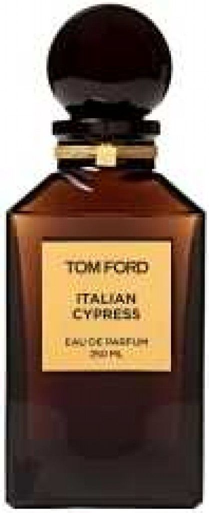 Italian Cypress