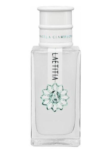 عطر أنجيلا تشامبانا لاتيتيا