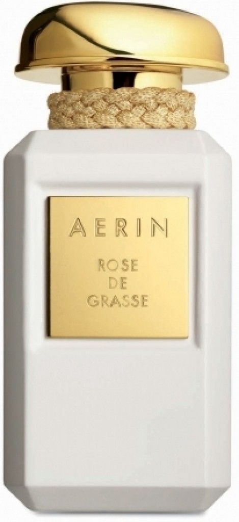 Rose de Grasse