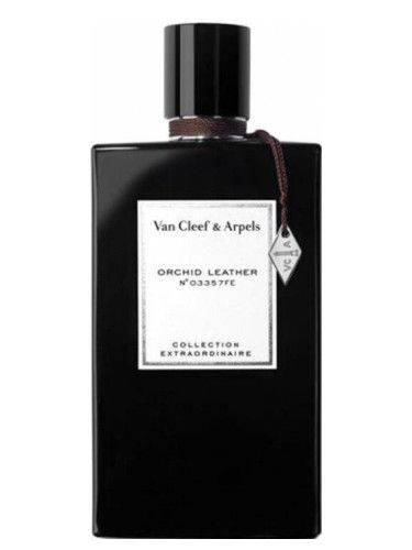 عطر فان كليف أند أربلز أوركيد ليذر