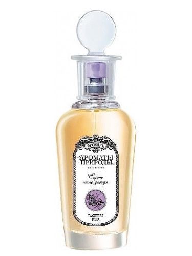 عطر بروكارد ليلك أفتر ذا رين