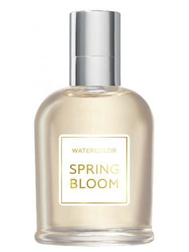Spring Bloom