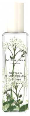Nettle & Wild Achillea