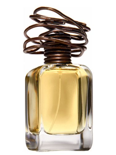 عطر منديتروسا أرتشيتبو