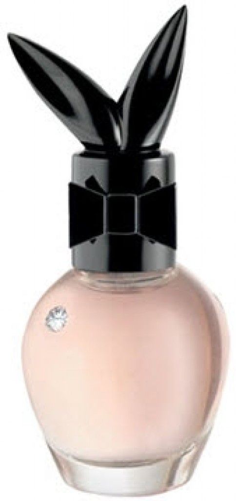 عطر بلاي إت سبايسي بلاي بوي