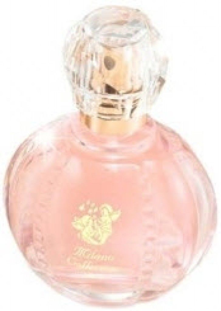 عطر ميلانوكوليكشن 2013 كانيبو