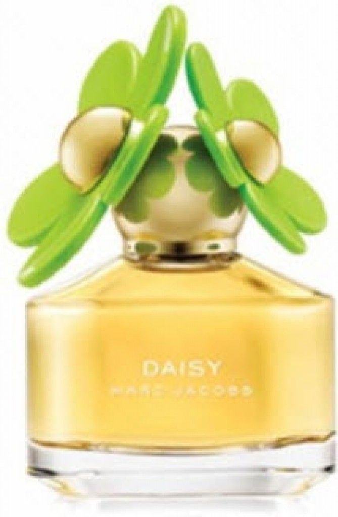 Daisy Bloom