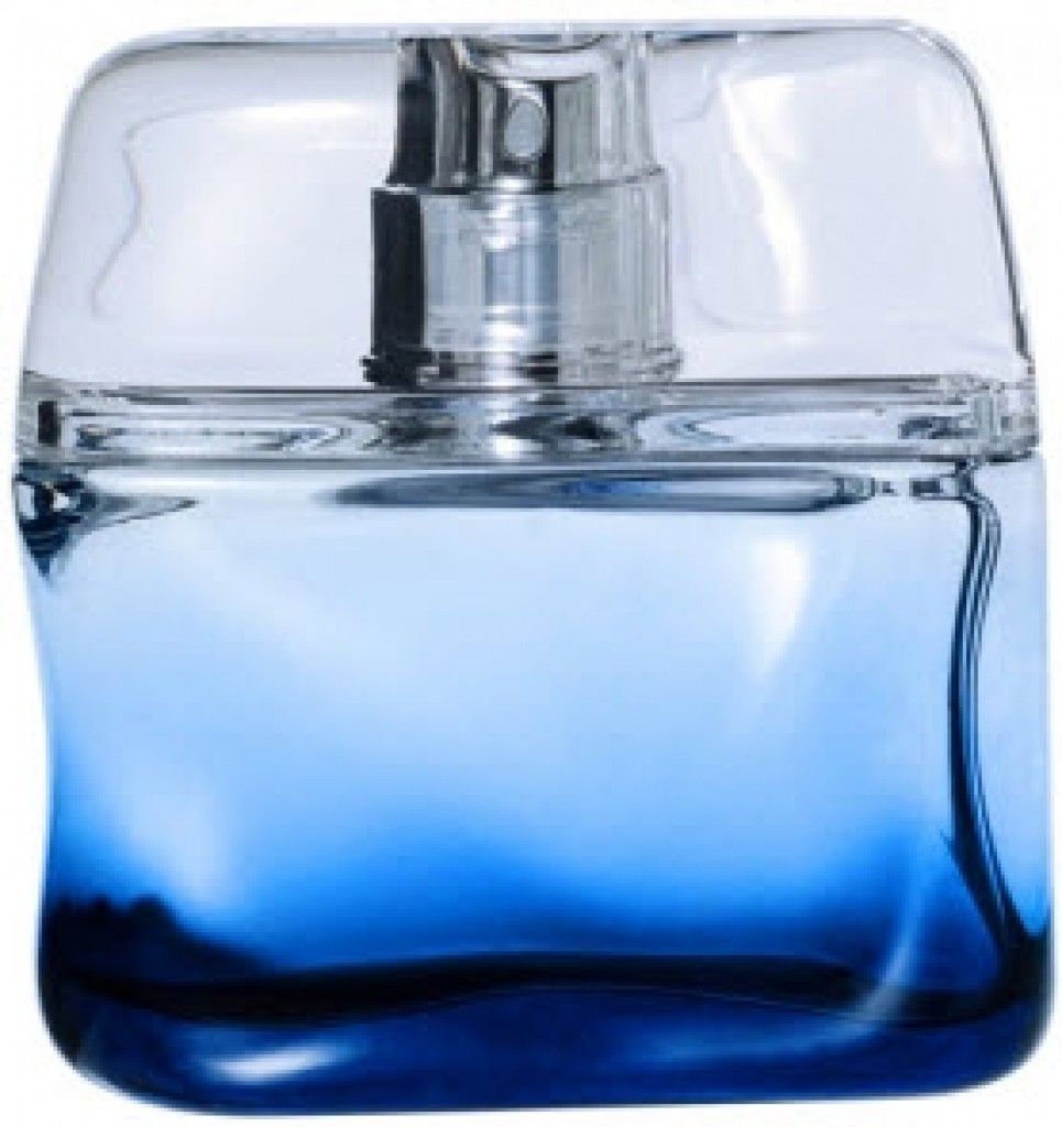 عطر بلو إنتنس نيكول فارهي