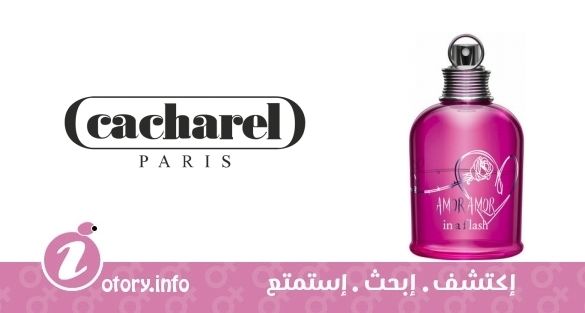 عطر كاشريل أمور أمور إن فلاش