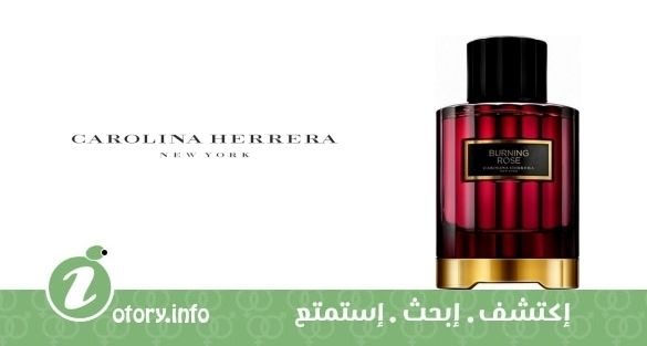 عطر كارولينا هيريرا بيرنينج روز