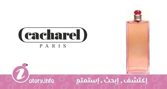 عطر كاشريل جلوريا