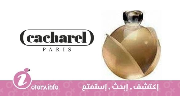 عطر كاشريل نوا جولد