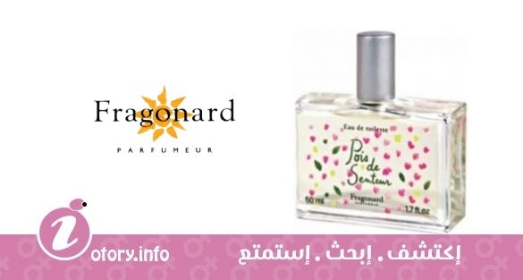 عطر بوي دي سينتور فراجونارد