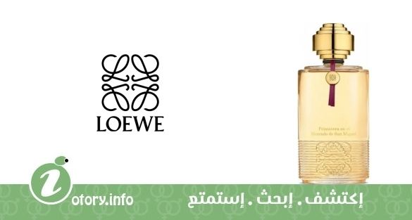عطر بريمافيرا ان الميركادو دي سان ميجويل لويفي