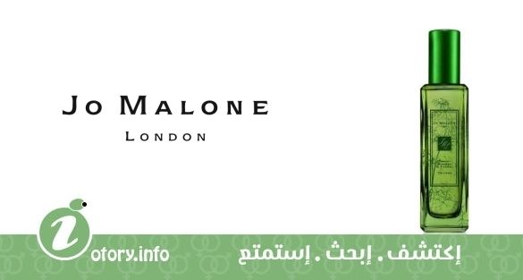 عطر جو مالون كاروت بلوسوم آند فينيل