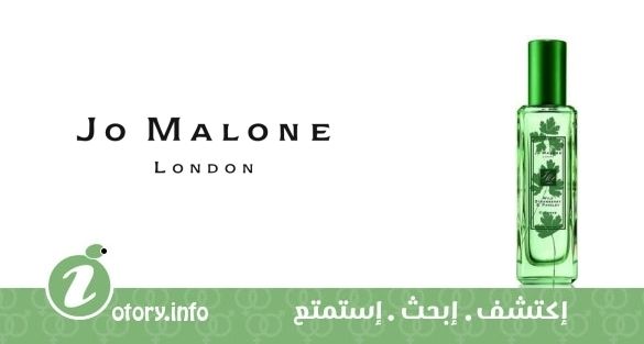 عطر وايلد ستروباري آند بارسلي جو مالون