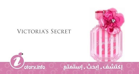 عطر فيكتوريا سيكرِت بومبشيل إن بلوم  فيكتوريا سيكرِت