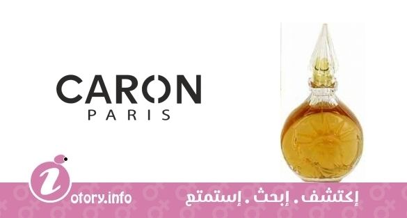 عطر كارون ليدي