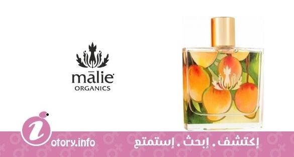عطر مانجو نكتار مالي أورجانيك