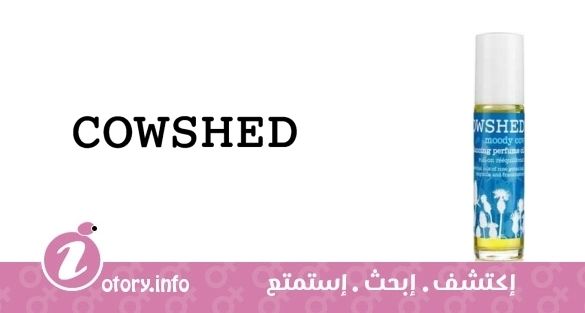 عطر كاوشِد مودي كاو