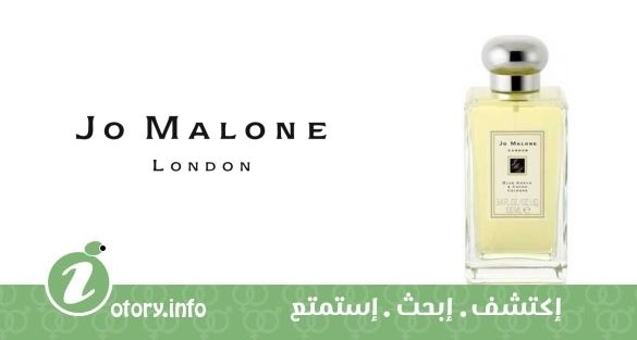 عطر بلو أجافا آند كاكاو جو مالون