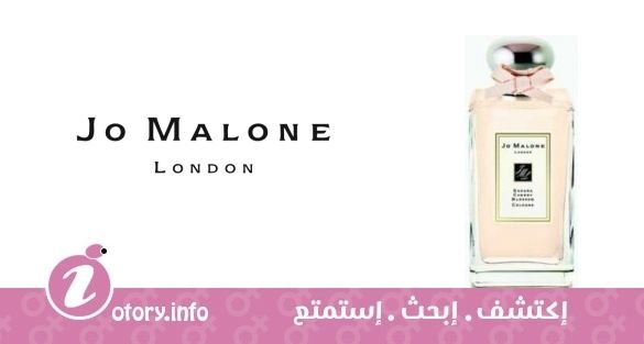 عطر ساكورا تشيري بلوسوم جو مالون