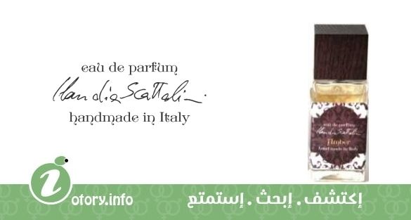 عطر كلوديا سكاتوليني عنبر