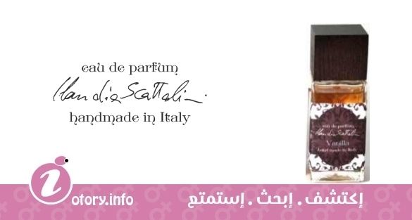 عطر كلوديا سكاتوليني  فانيلا