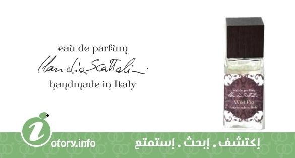 عطر كلوديا سكاتوليني وايلد فيج