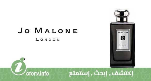 عطر كولون إنتنس عود آند برغموت جو مالون