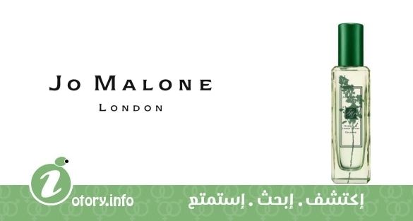 عطر سورِل آند ليمون ثايم جو مالون