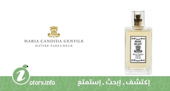 عطر روز سيلافي ماريا كانديدا جِنتيل