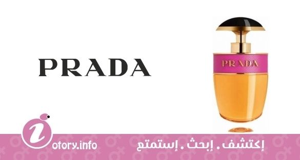 عطر برادا كاندي كيس