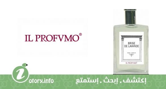 عطر أوسمو سِنتس برايز دي لافند إل برف