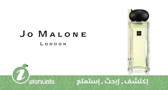 عطر دارجيلنج تي جو مالون