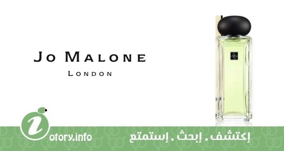 عطر جاد ليف تي جو مالون