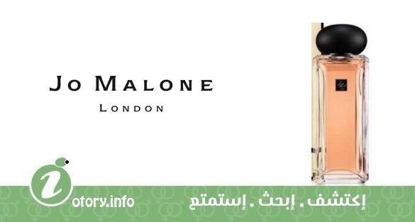 عطر ميدنايت بلاك تي جو مالون