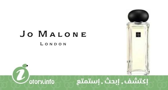 عطر سِلفر نيدل تي جو مالون