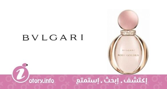 عطر روز جولديا بولغاري