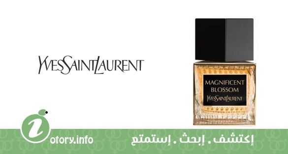 عطر ماجنيفيسنت بلوسوم إيف سان لوران 