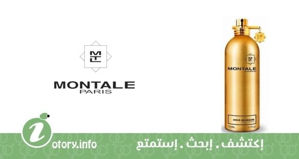 عطر عود بلوسوم مونتال 