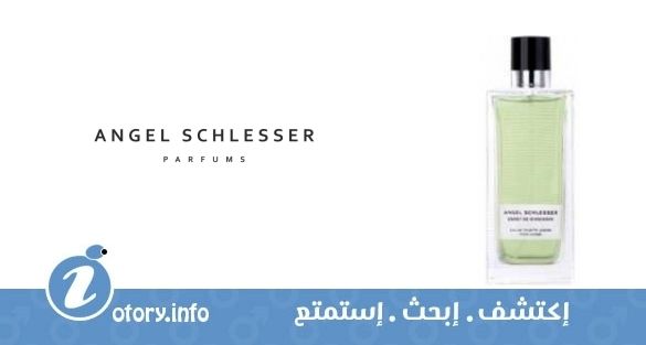 عطر أنجيل شليسر اسبريت دي جنجر أمبر بور هوم