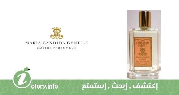 عطر لانكران فورست ماريا كانديدا حنتل