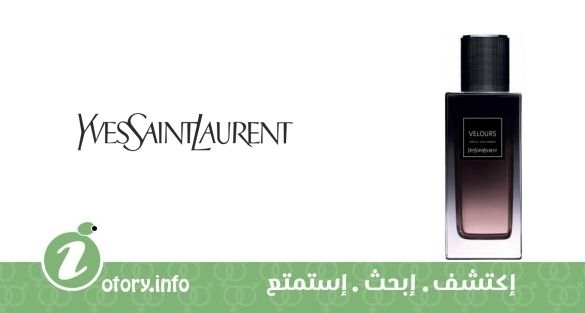 عطر فيلورز إيف سان لوران
