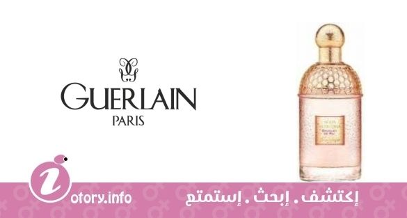 عطر أكوا أليغوريا بوكيه دي ماي جيرلان