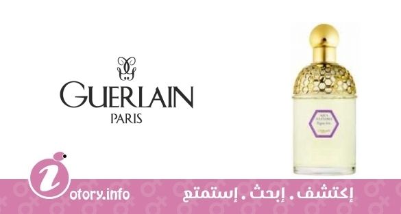 عطر أكوا أليغوريا فوجير جيرلان