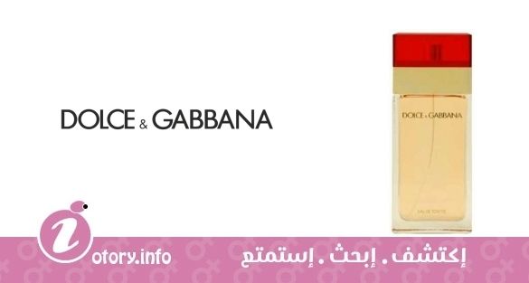 عطر دي أند جي دولشي أند غابانا