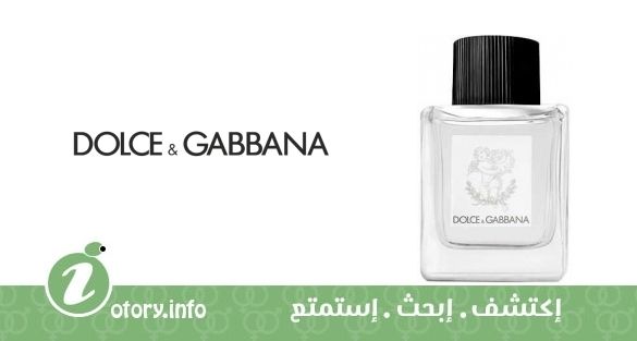 عطر دولشي أند غابانا برفيوم فور بيبيز دولشي اند غابانا